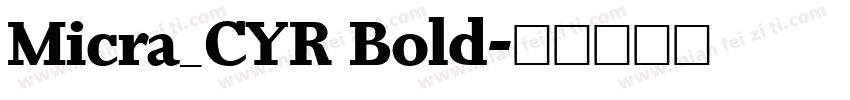 Micra_CYR Bold字体转换